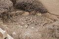 DSCF0002-1.jpg