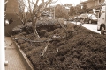 DSCF0015-1.jpg