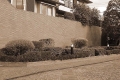 DSCF0004-1.jpg