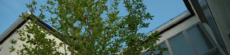 DSC_0043.JPG