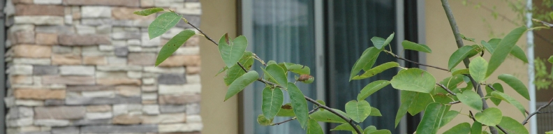 DSC_0077.JPG