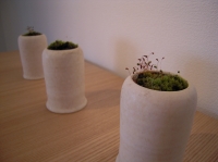 DSCN2054.JPG