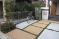 DSCN5355.JPG