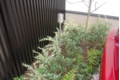 DSCN5370.JPG